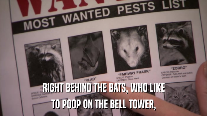 RIGHT BEHIND THE BATS, WHO LIKE TO POOP ON THE BELL TOWER, 