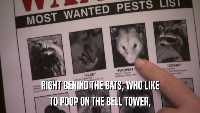 RIGHT BEHIND THE BATS, WHO LIKE TO POOP ON THE BELL TOWER, 
