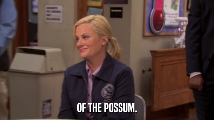 OF THE POSSUM.  