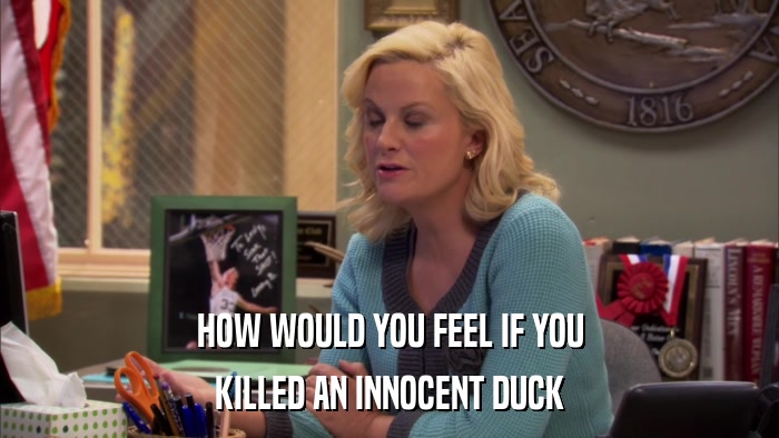 HOW WOULD YOU FEEL IF YOU KILLED AN INNOCENT DUCK 