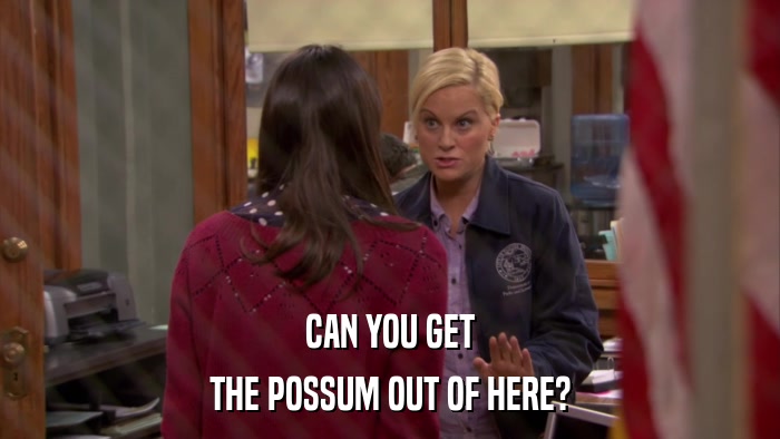 CAN YOU GET THE POSSUM OUT OF HERE? 