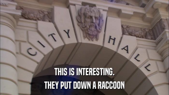 THIS IS INTERESTING. THEY PUT DOWN A RACCOON 