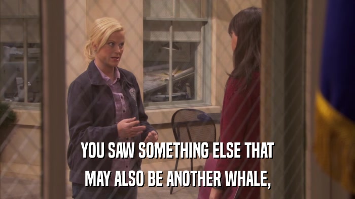 YOU SAW SOMETHING ELSE THAT MAY ALSO BE ANOTHER WHALE, 