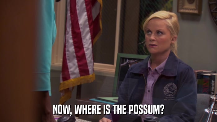 NOW, WHERE IS THE POSSUM?  