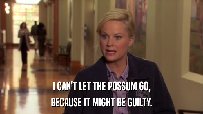 I CAN'T LET THE POSSUM GO, BECAUSE IT MIGHT BE GUILTY. 