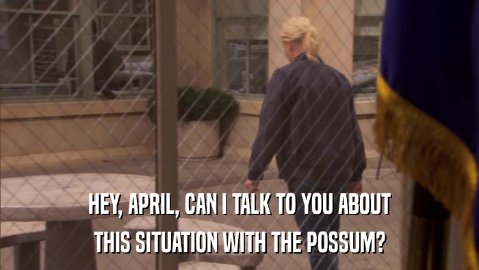 HEY, APRIL, CAN I TALK TO YOU ABOUT THIS SITUATION WITH THE POSSUM? 