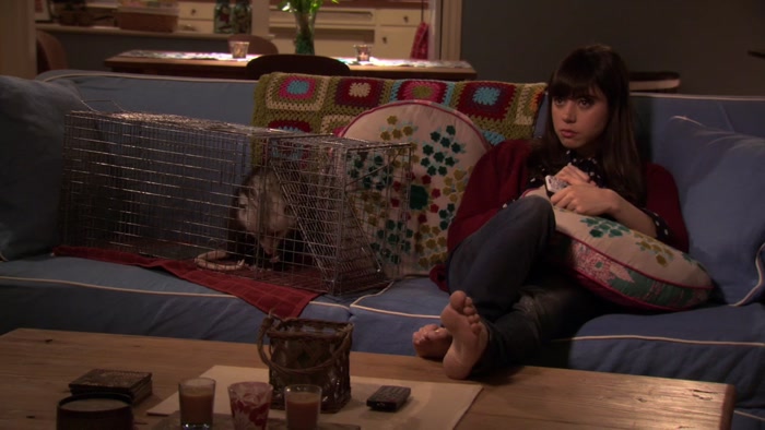 BABY MEERKATS DO NOT START FORAGING FOR FOOD UNTIL ABOUT ONE MONTH OLD. 
