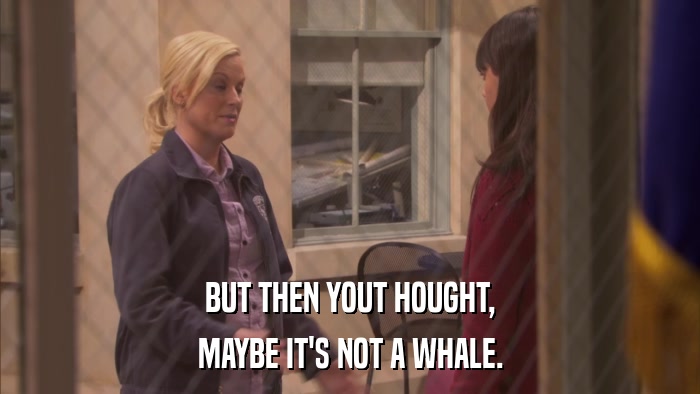 BUT THEN YOUT HOUGHT, MAYBE IT'S NOT A WHALE. 