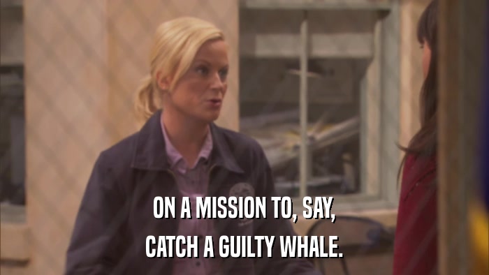 ON A MISSION TO, SAY, CATCH A GUILTY WHALE. 