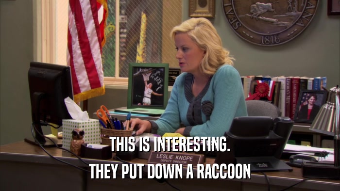 THIS IS INTERESTING. THEY PUT DOWN A RACCOON 
