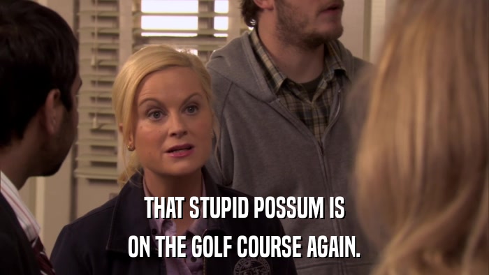 THAT STUPID POSSUM IS ON THE GOLF COURSE AGAIN. 