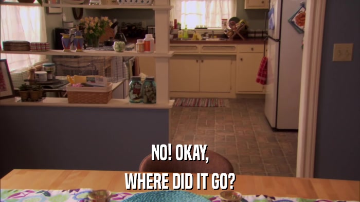 NO! OKAY, WHERE DID IT GO? 