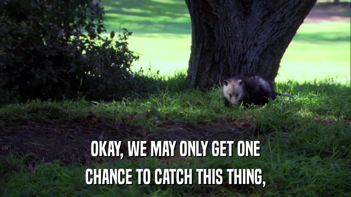 OKAY, WE MAY ONLY GET ONE CHANCE TO CATCH THIS THING, 