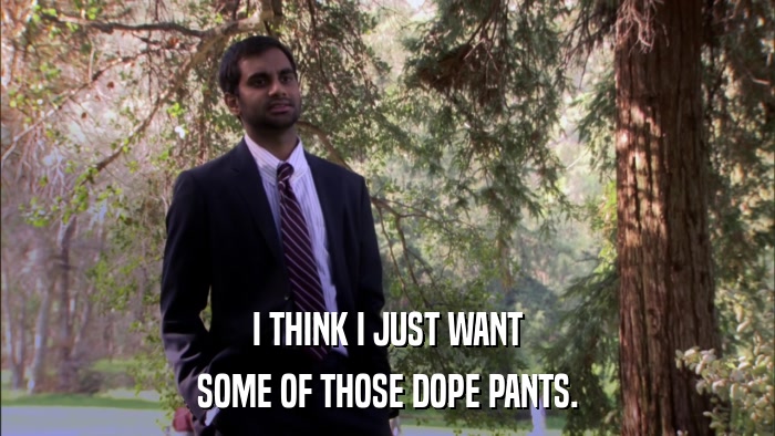 I THINK I JUST WANT SOME OF THOSE DOPE PANTS. 
