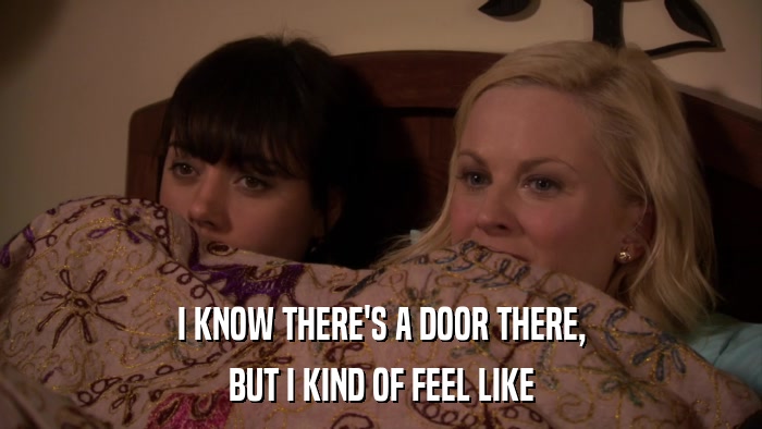 I KNOW THERE'S A DOOR THERE, BUT I KIND OF FEEL LIKE 