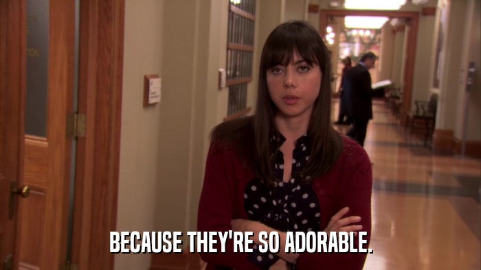 BECAUSE THEY'RE SO ADORABLE.  