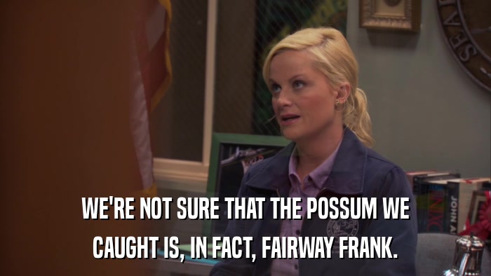 WE'RE NOT SURE THAT THE POSSUM WE CAUGHT IS, IN FACT, FAIRWAY FRANK. 