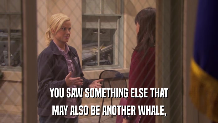 YOU SAW SOMETHING ELSE THAT MAY ALSO BE ANOTHER WHALE, 
