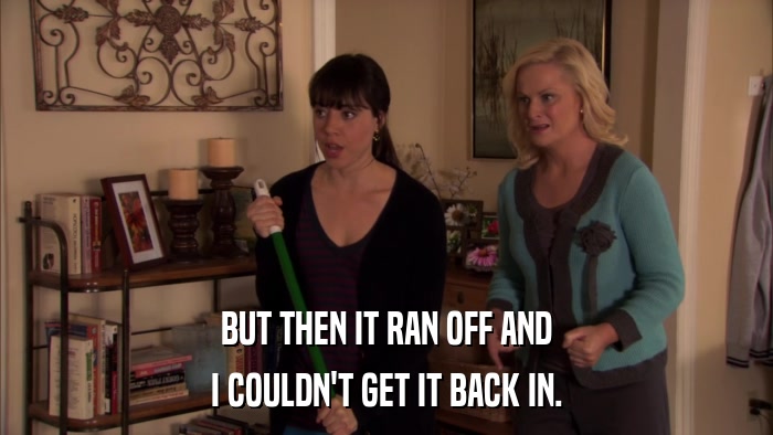 BUT THEN IT RAN OFF AND I COULDN'T GET IT BACK IN. 