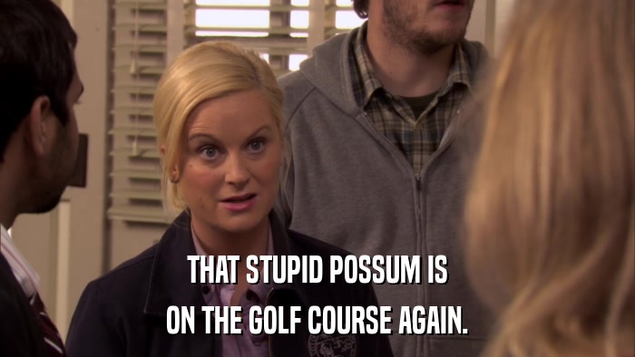 THAT STUPID POSSUM IS ON THE GOLF COURSE AGAIN. 