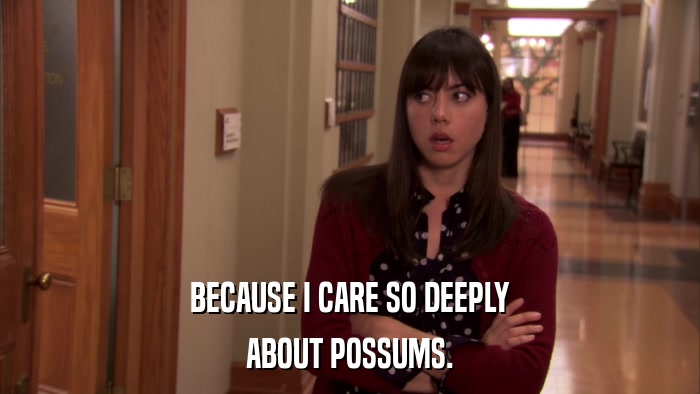 BECAUSE I CARE SO DEEPLY ABOUT POSSUMS. 