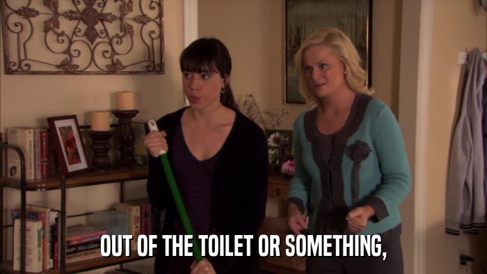 OUT OF THE TOILET OR SOMETHING,  
