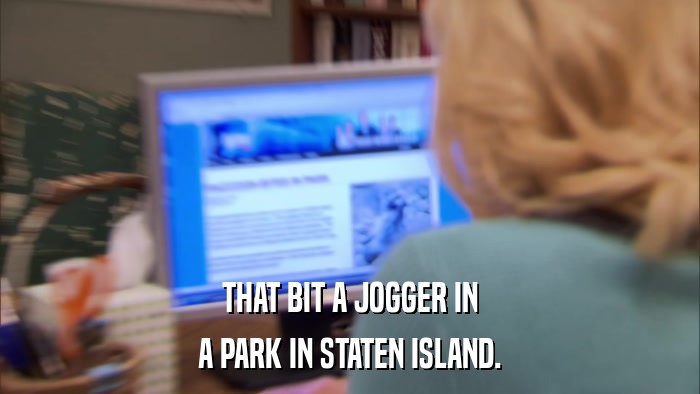 THAT BIT A JOGGER IN A PARK IN STATEN ISLAND. 