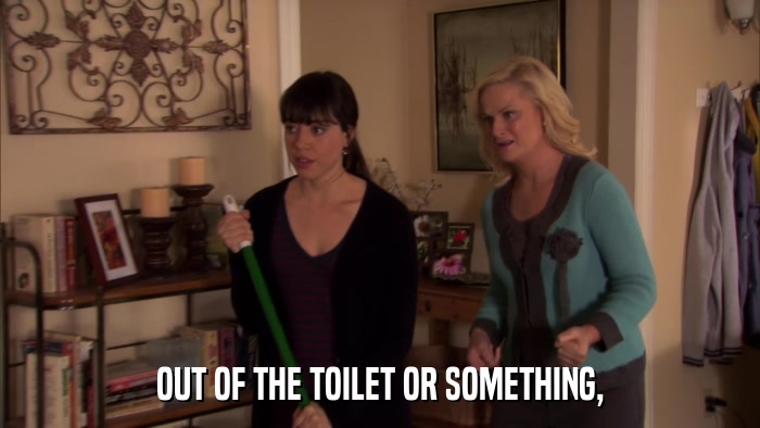 OUT OF THE TOILET OR SOMETHING,  