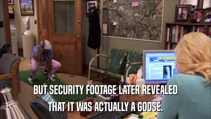BUT SECURITY FOOTAGE LATER REVEALED THAT IT WAS ACTUALLY A GOOSE. 