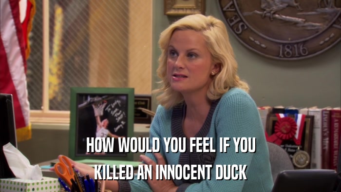 HOW WOULD YOU FEEL IF YOU KILLED AN INNOCENT DUCK 