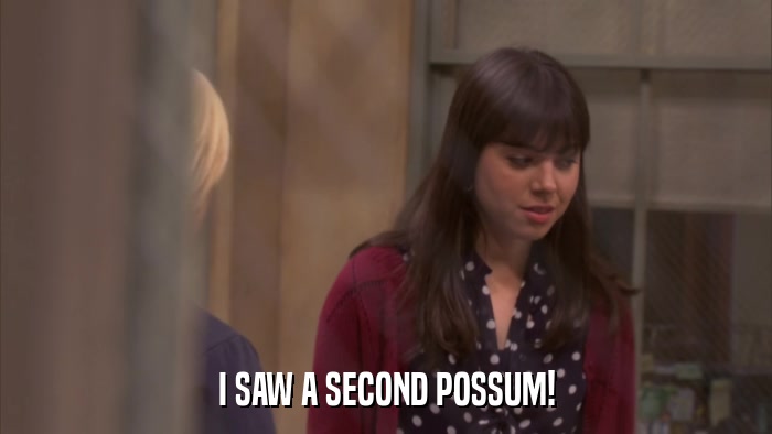 I SAW A SECOND POSSUM!  