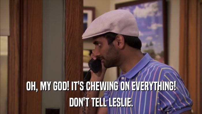 OH, MY GOD! IT'S CHEWING ON EVERYTHING! DON'T TELL LESLIE. 