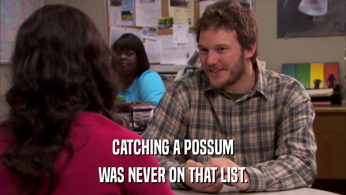 CATCHING A POSSUM WAS NEVER ON THAT LIST. 