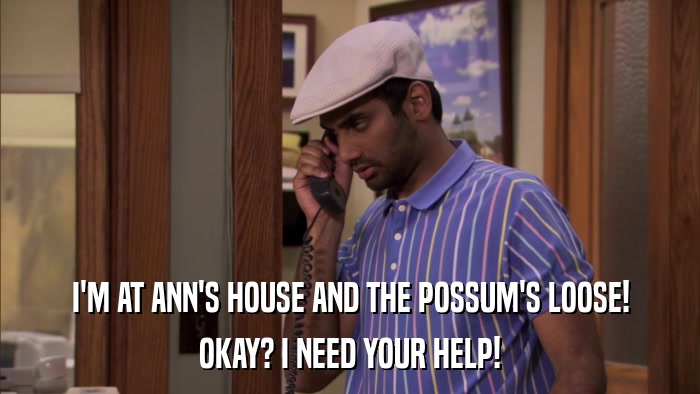 I'M AT ANN'S HOUSE AND THE POSSUM'S LOOSE! OKAY? I NEED YOUR HELP! 