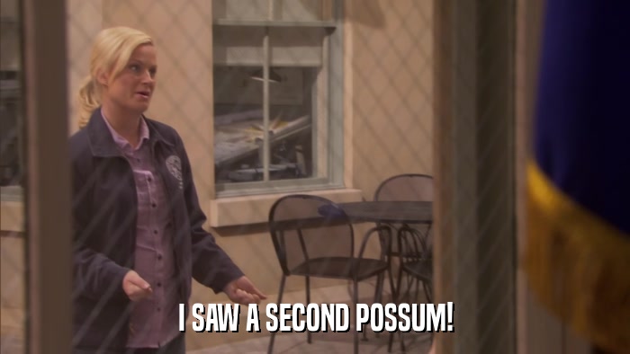 I SAW A SECOND POSSUM!  