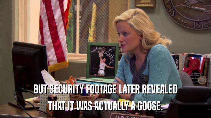 BUT SECURITY FOOTAGE LATER REVEALED THAT IT WAS ACTUALLY A GOOSE. 