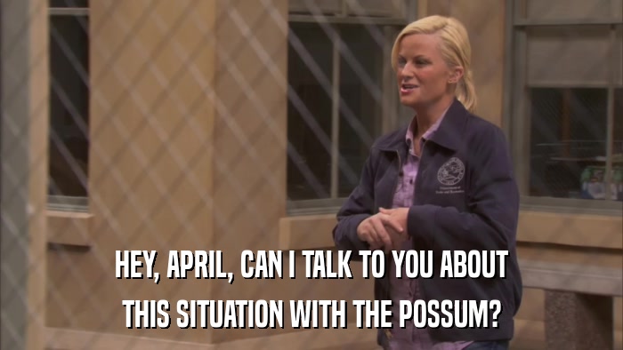 HEY, APRIL, CAN I TALK TO YOU ABOUT THIS SITUATION WITH THE POSSUM? 