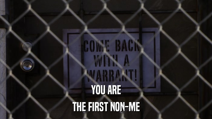 YOU ARE THE FIRST NON-ME 