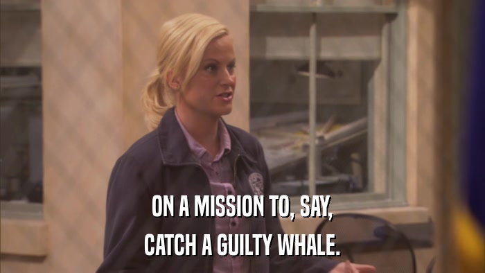 ON A MISSION TO, SAY, CATCH A GUILTY WHALE. 