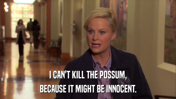 I CAN'T KILL THE POSSUM, BECAUSE IT MIGHT BE INNOCENT. 