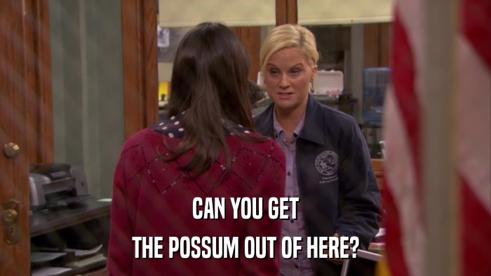 CAN YOU GET THE POSSUM OUT OF HERE? 