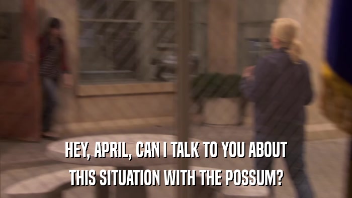 HEY, APRIL, CAN I TALK TO YOU ABOUT THIS SITUATION WITH THE POSSUM? 