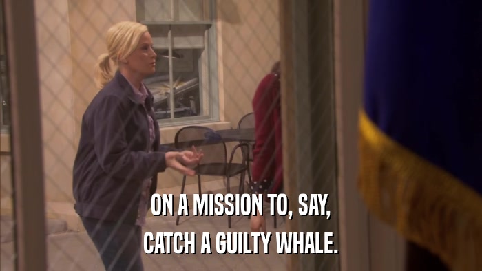ON A MISSION TO, SAY, CATCH A GUILTY WHALE. 