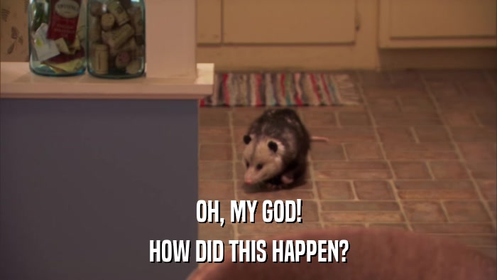 OH, MY GOD! HOW DID THIS HAPPEN? 