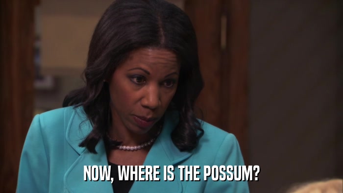 NOW, WHERE IS THE POSSUM?  
