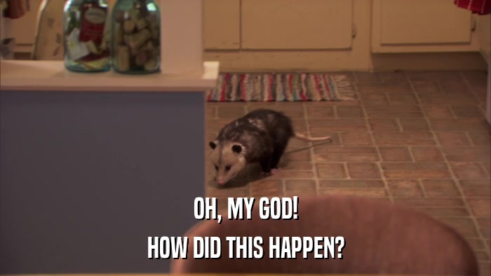 OH, MY GOD! HOW DID THIS HAPPEN? 