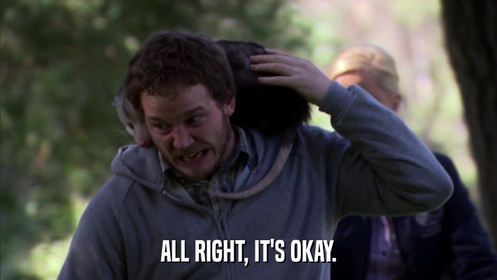 ALL RIGHT, IT'S OKAY.  