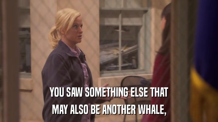 YOU SAW SOMETHING ELSE THAT MAY ALSO BE ANOTHER WHALE, 