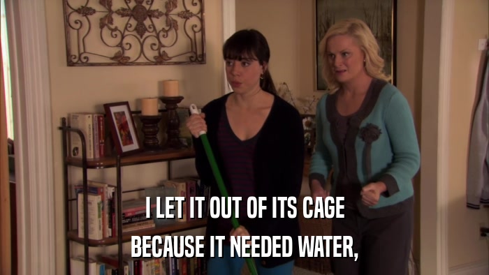 I LET IT OUT OF ITS CAGE BECAUSE IT NEEDED WATER, 