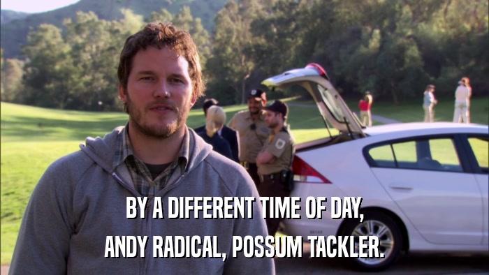 BY A DIFFERENT TIME OF DAY, ANDY RADICAL, POSSUM TACKLER. 